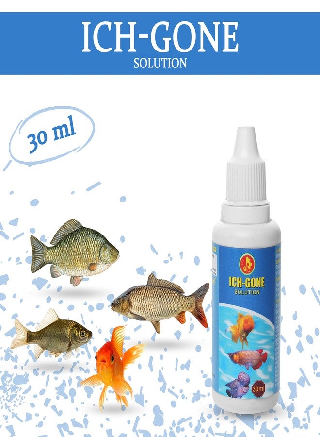 رعاية الحيوانات الأليفة الدولية بيت كير إنترناشونال، دواء لعلاج البقع البيضاء في أحواض السمك || مكافحة البقع البيضاء من أجل صحة أسماكك || عبوة من قطعتين || 30 مل - Image 4